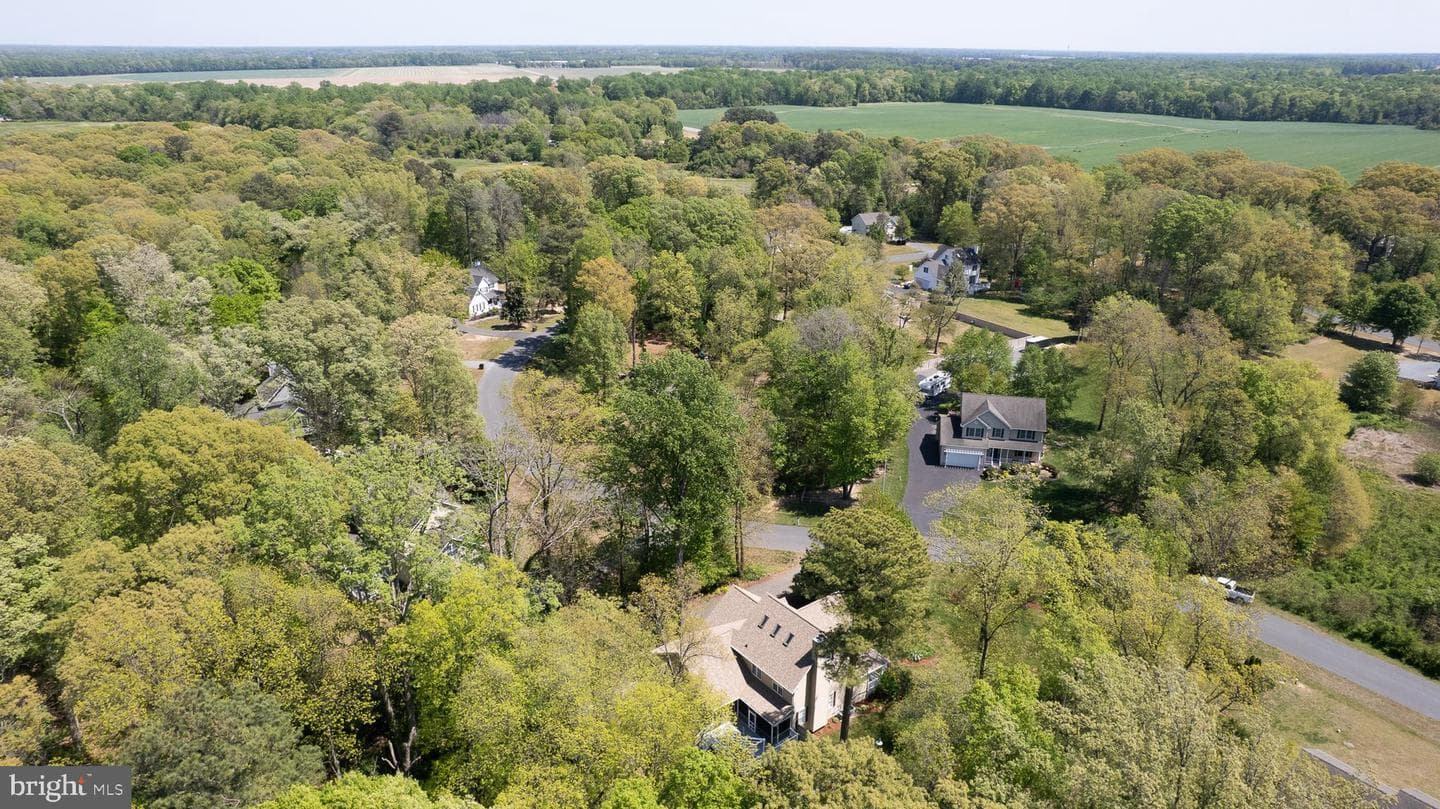 5585 Harmony Woods Drive photo 58