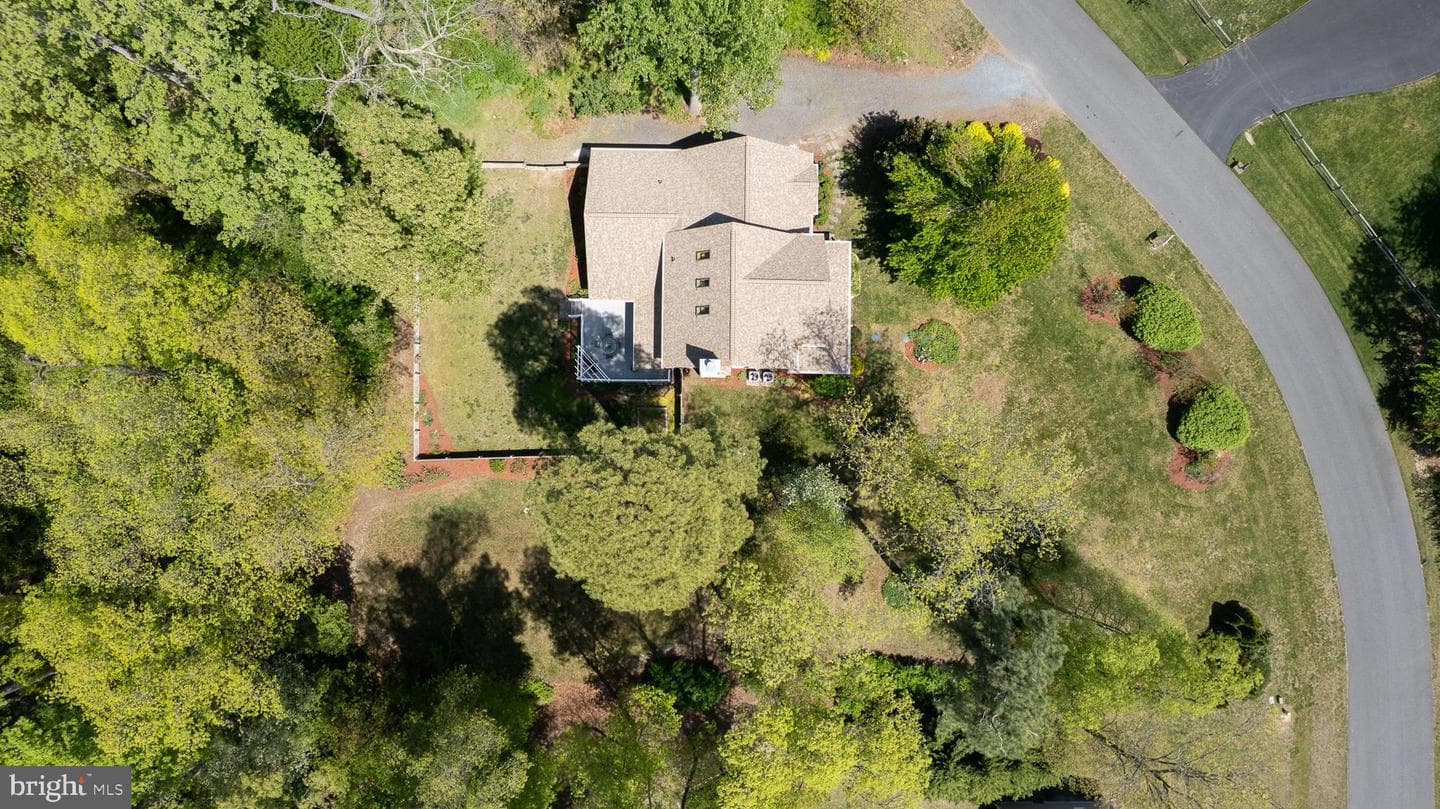 5585 Harmony Woods Drive photo 59