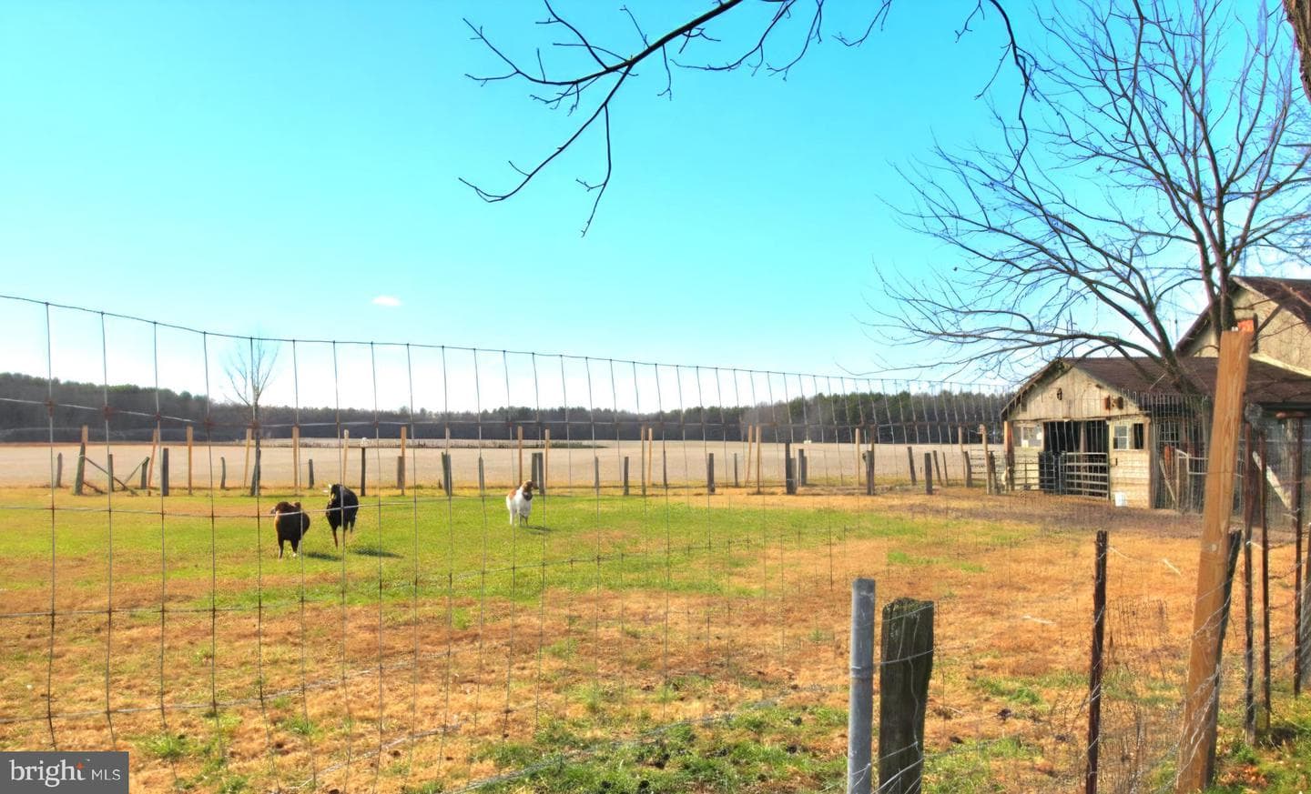 27329 Iron Gate Road photo 17