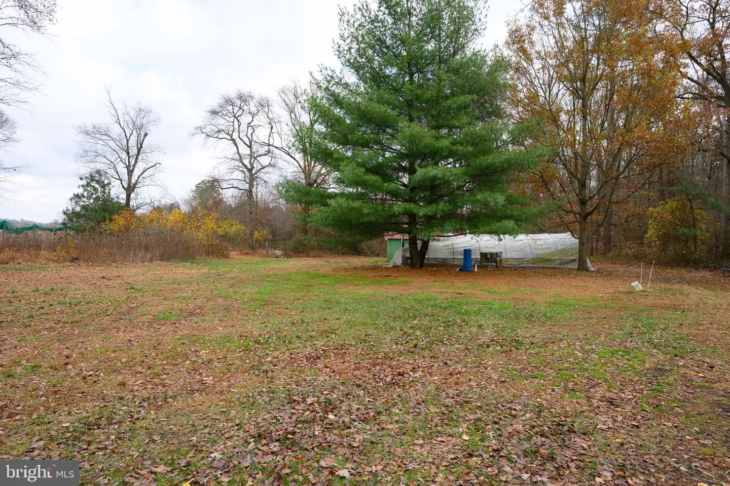 24029 Meadows Drive photo 39