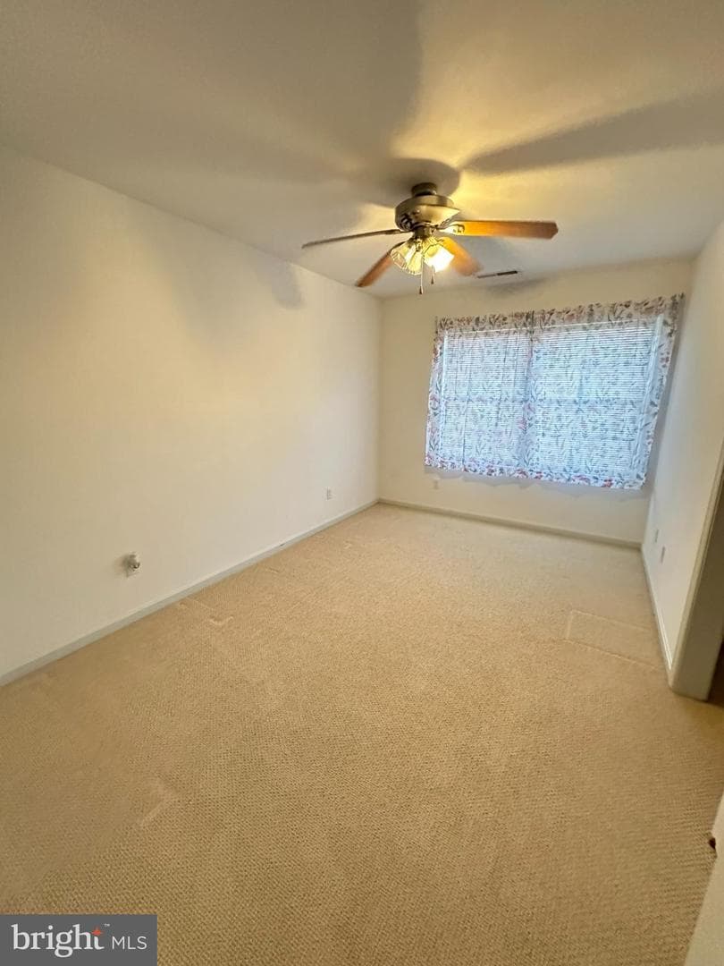 408 Bernard photo 10