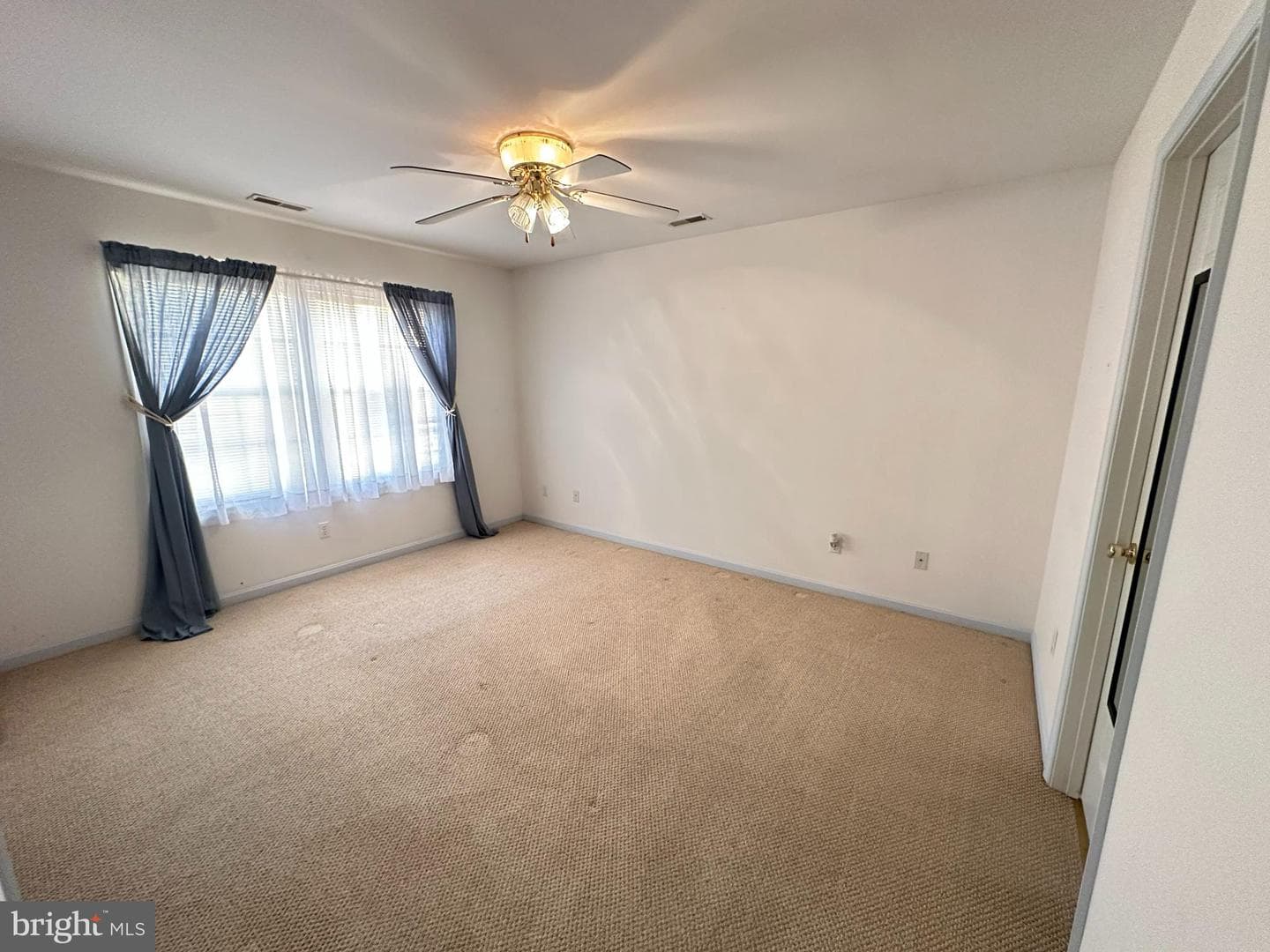 408 Bernard photo 5