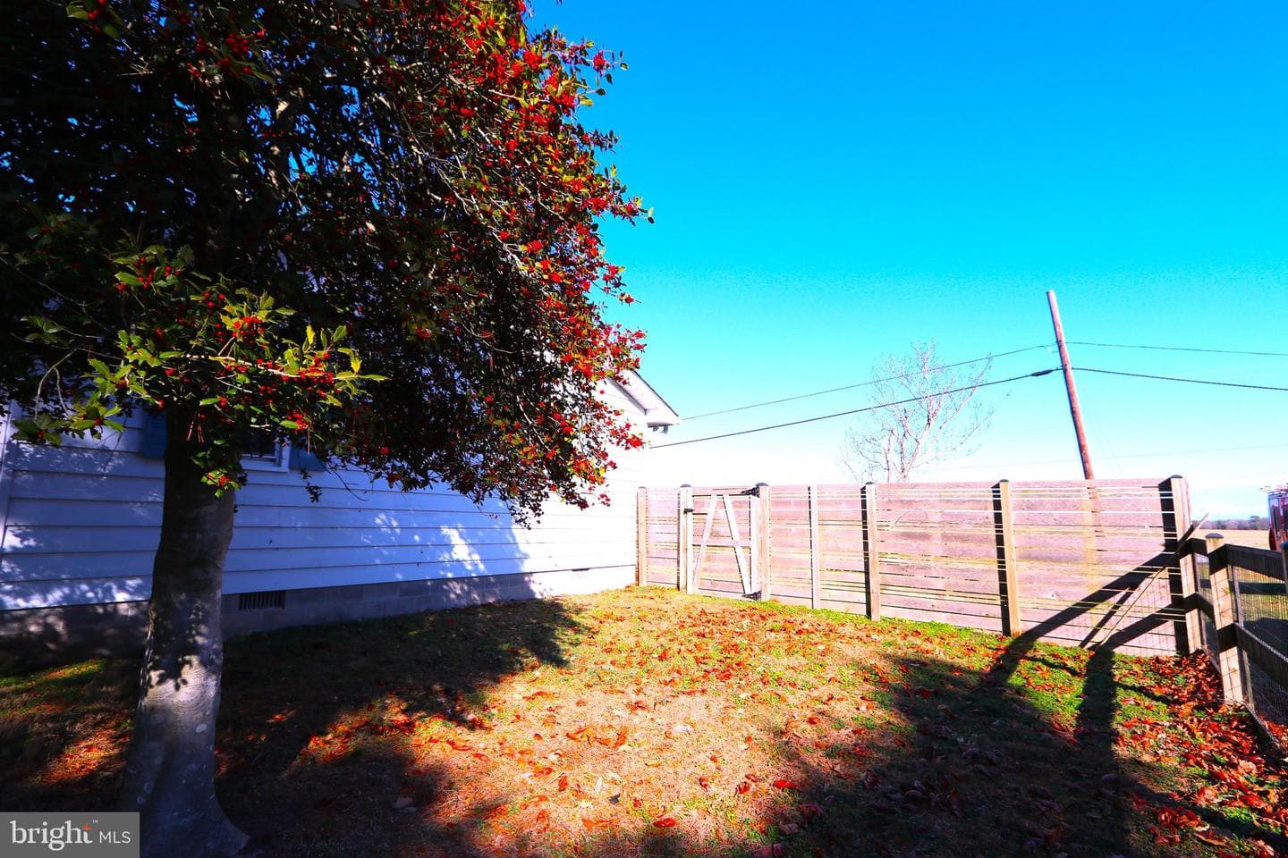 12658 Oakland photo 30