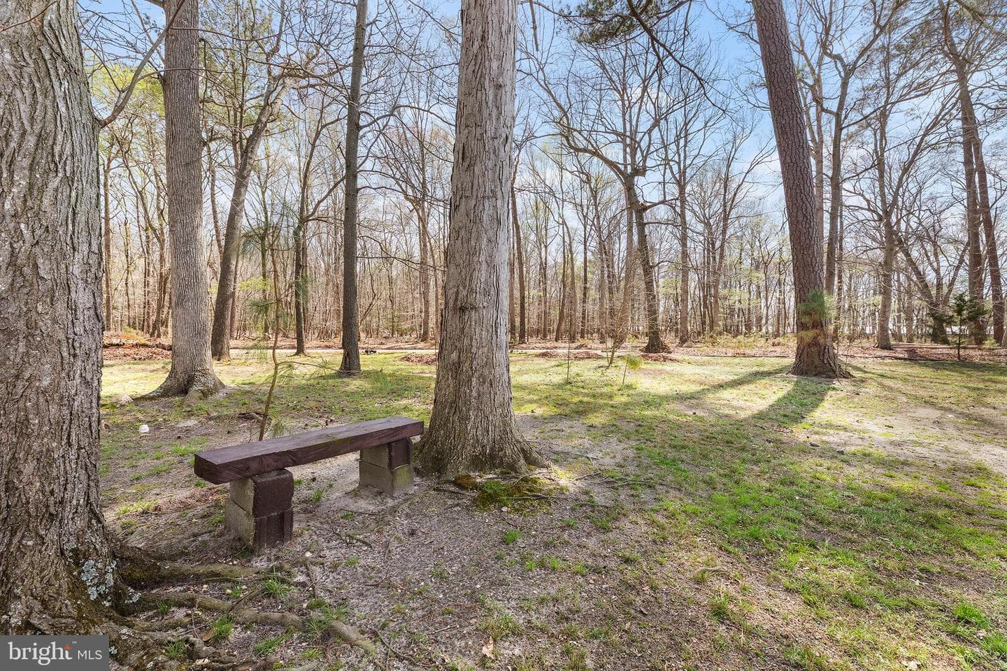 8409 Harmony Road photo 24