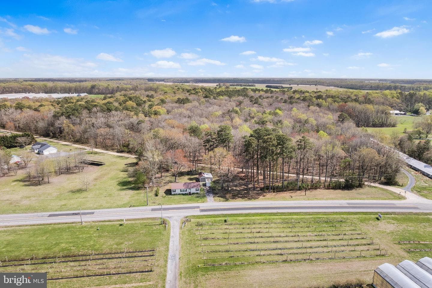 8409 Harmony Road photo 33