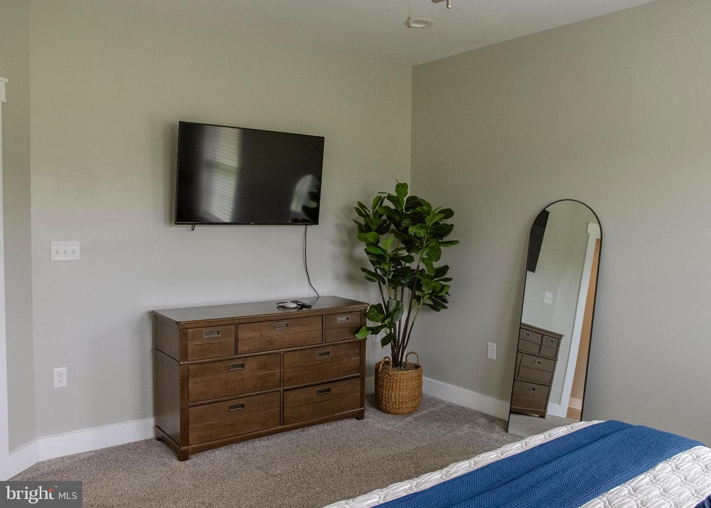 23296 Wilder Way photo 69