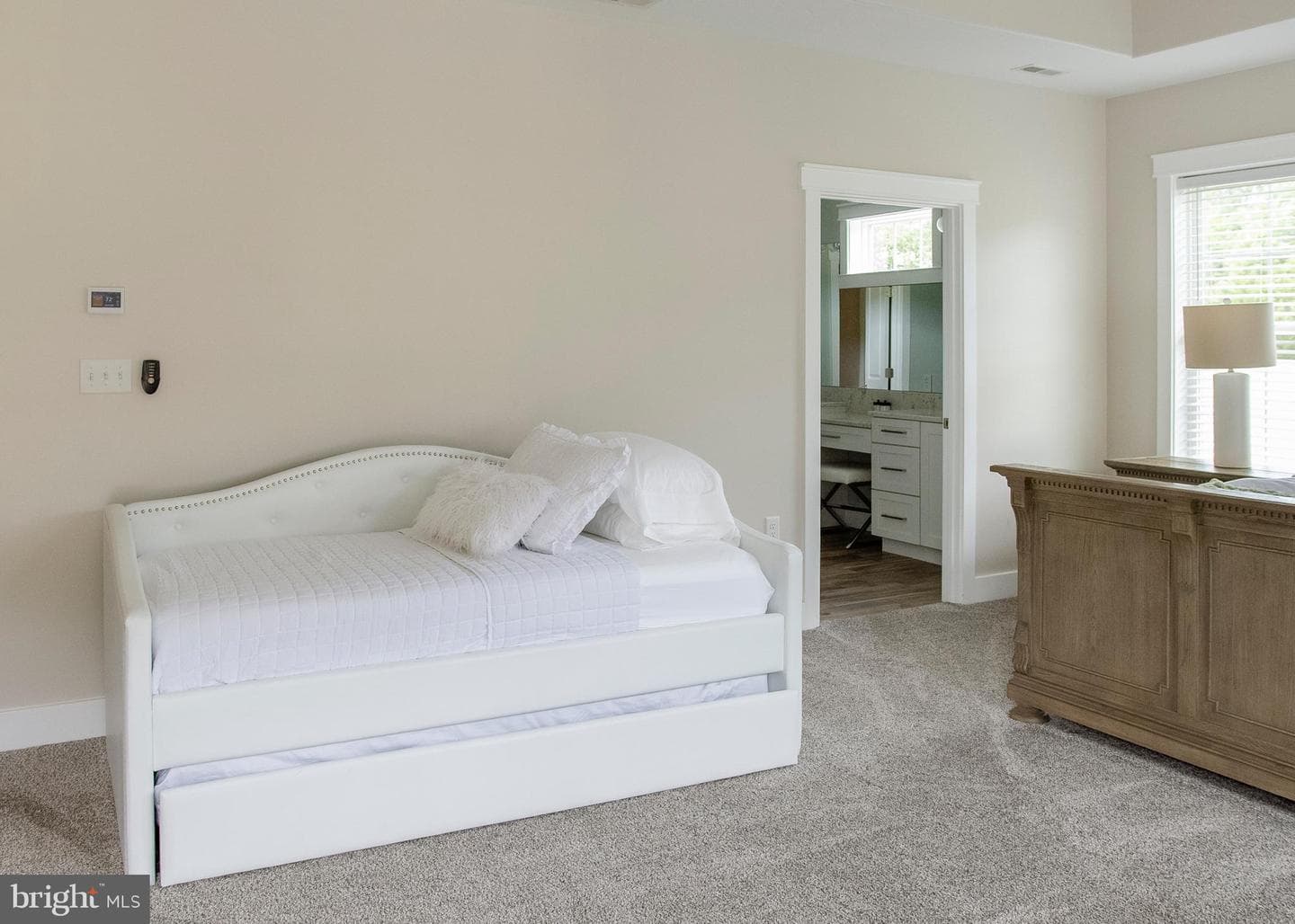 23296 Wilder Way photo 89