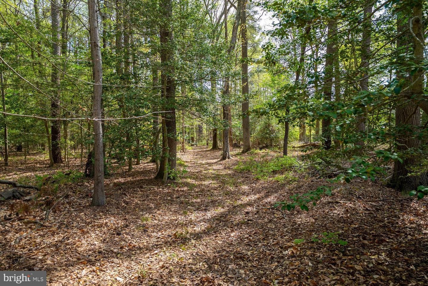 322 Deep Shore Road photo 19