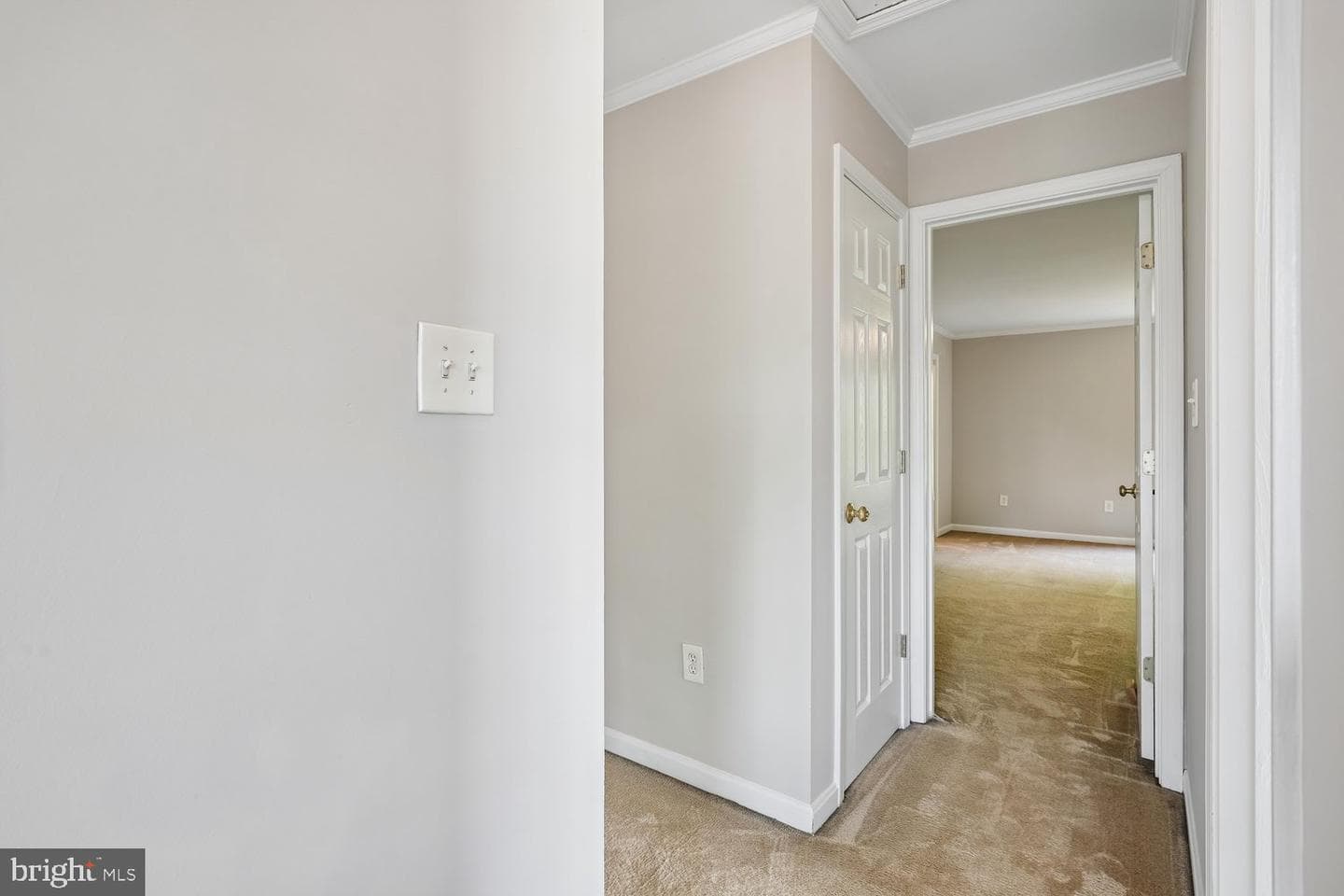411 Mallard Drive photo 22