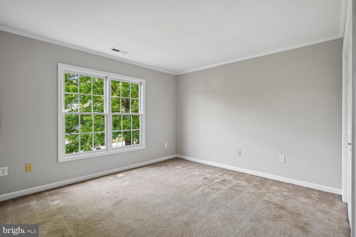 411 Mallard Drive photo 26
