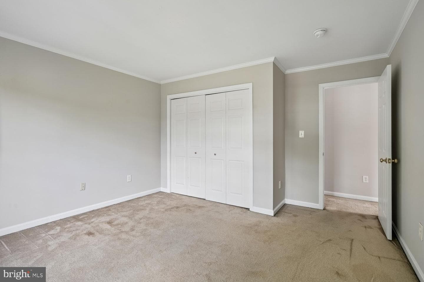 411 Mallard Drive photo 27