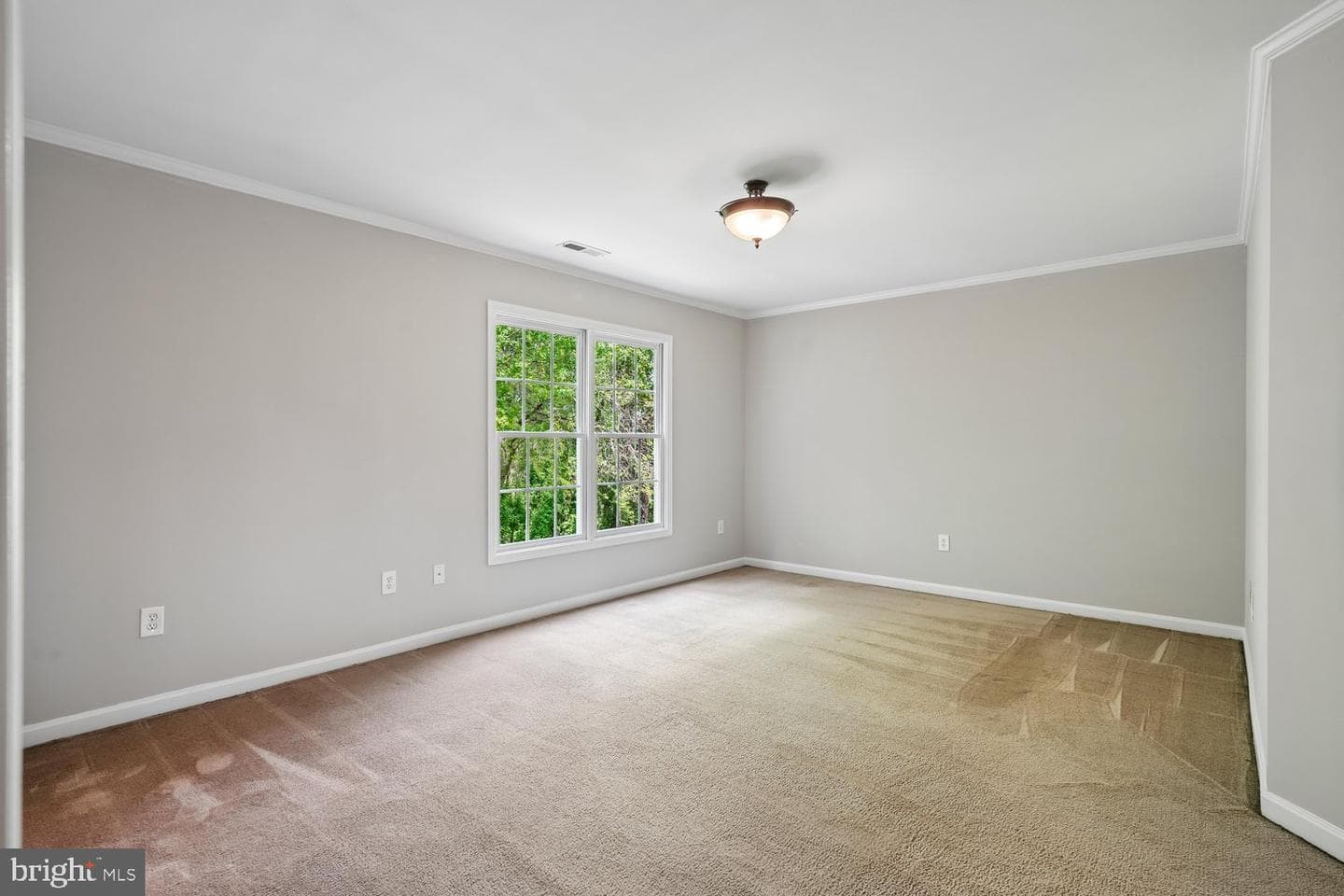 411 Mallard Drive photo 30