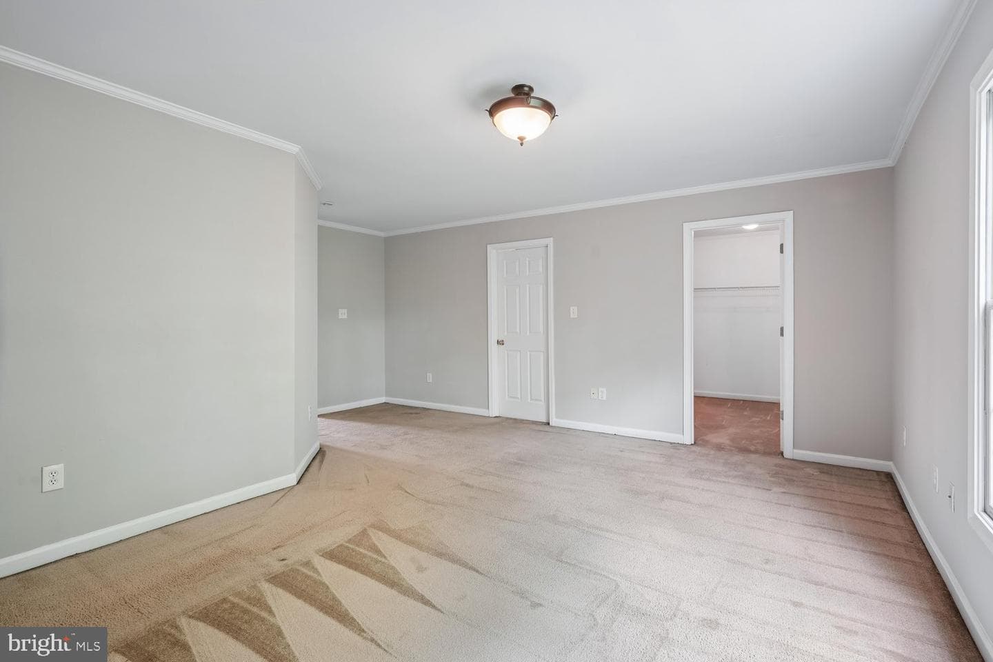 411 Mallard Drive photo 31