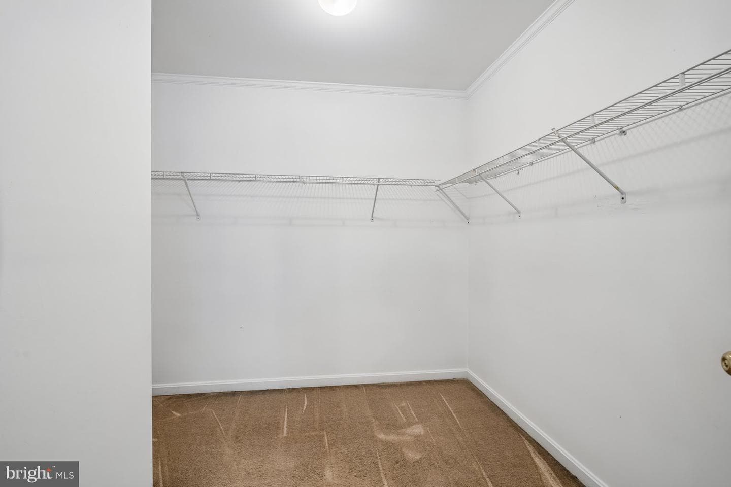411 Mallard Drive photo 32