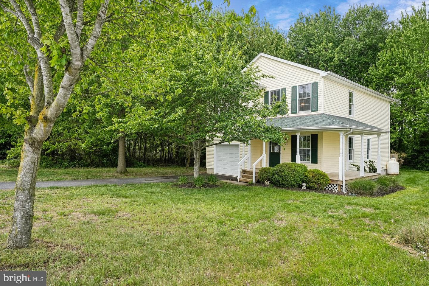 411 Mallard Drive photo 49