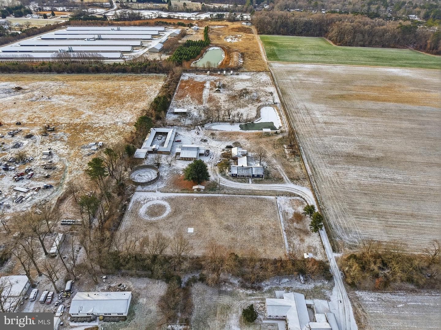 20915 Dover Bridge Road photo 4
