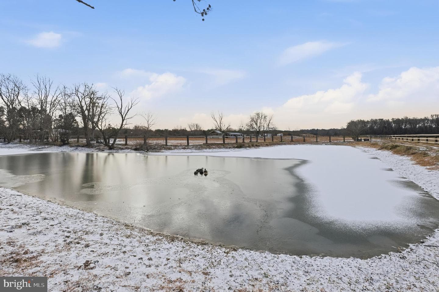 20915 Dover Bridge Road photo 59