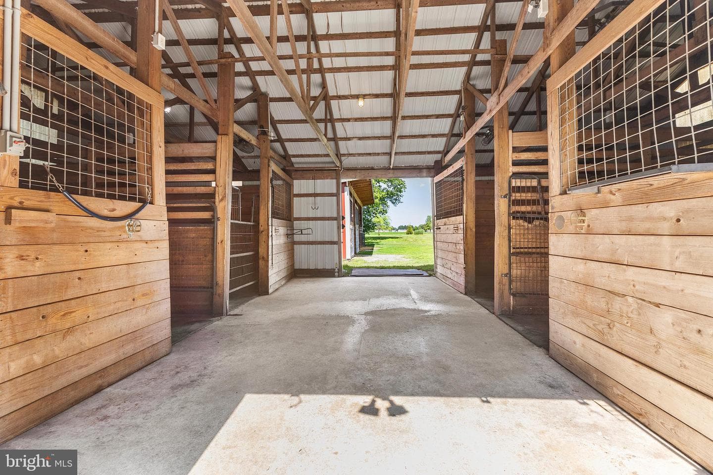 12397 Ridgely Road photo 19