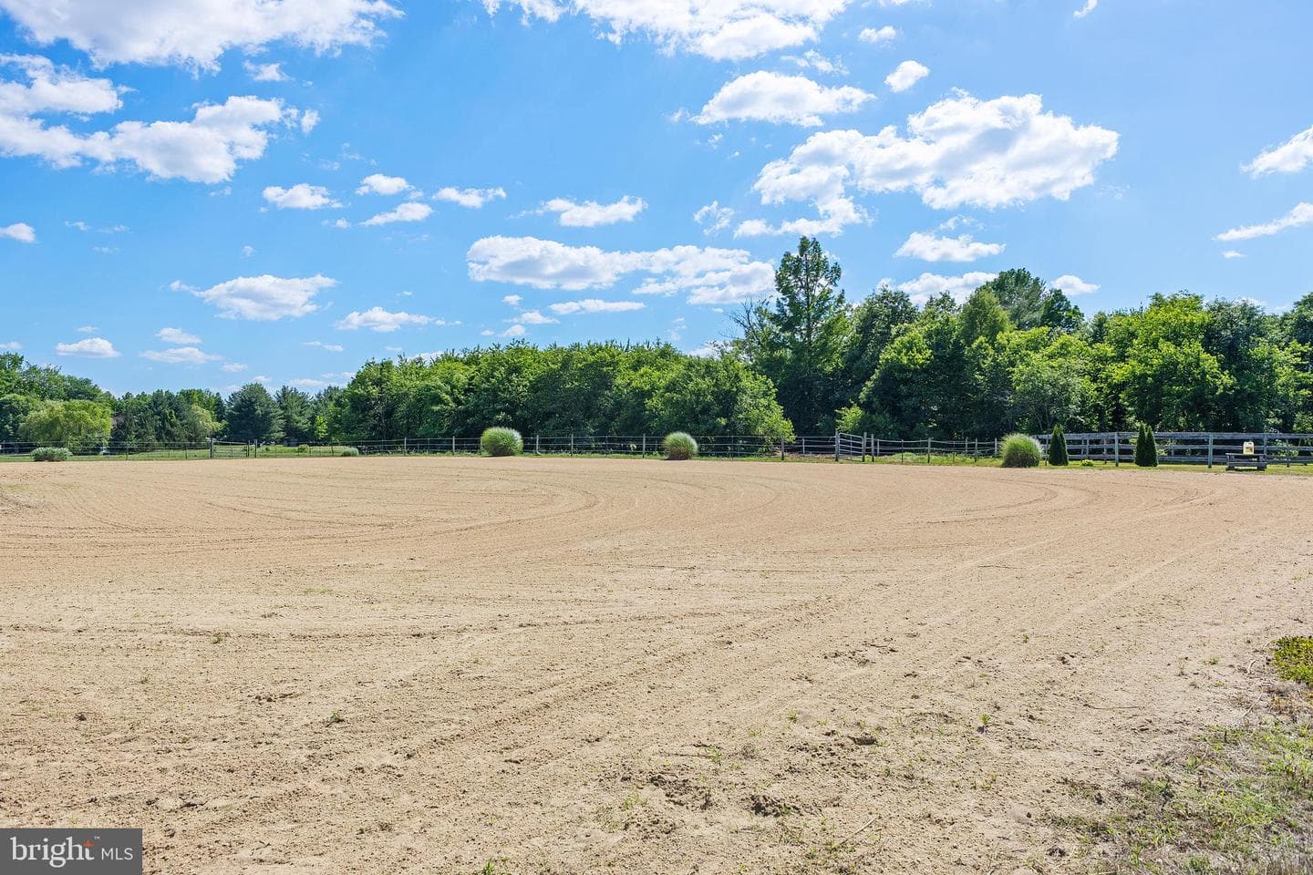 12397 Ridgely Road photo 27