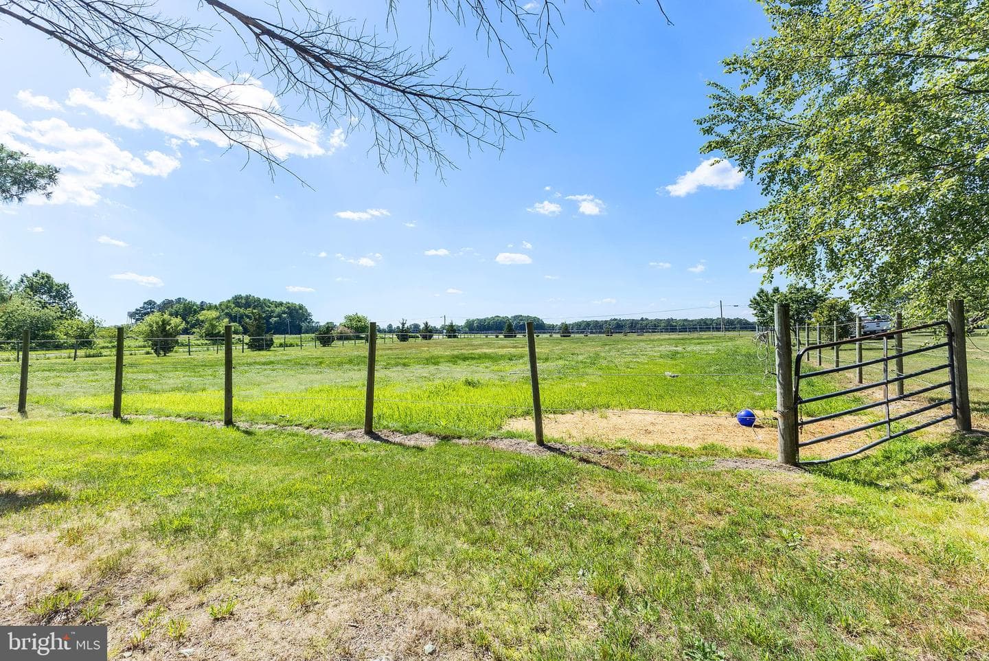 12397 Ridgely Road photo 29