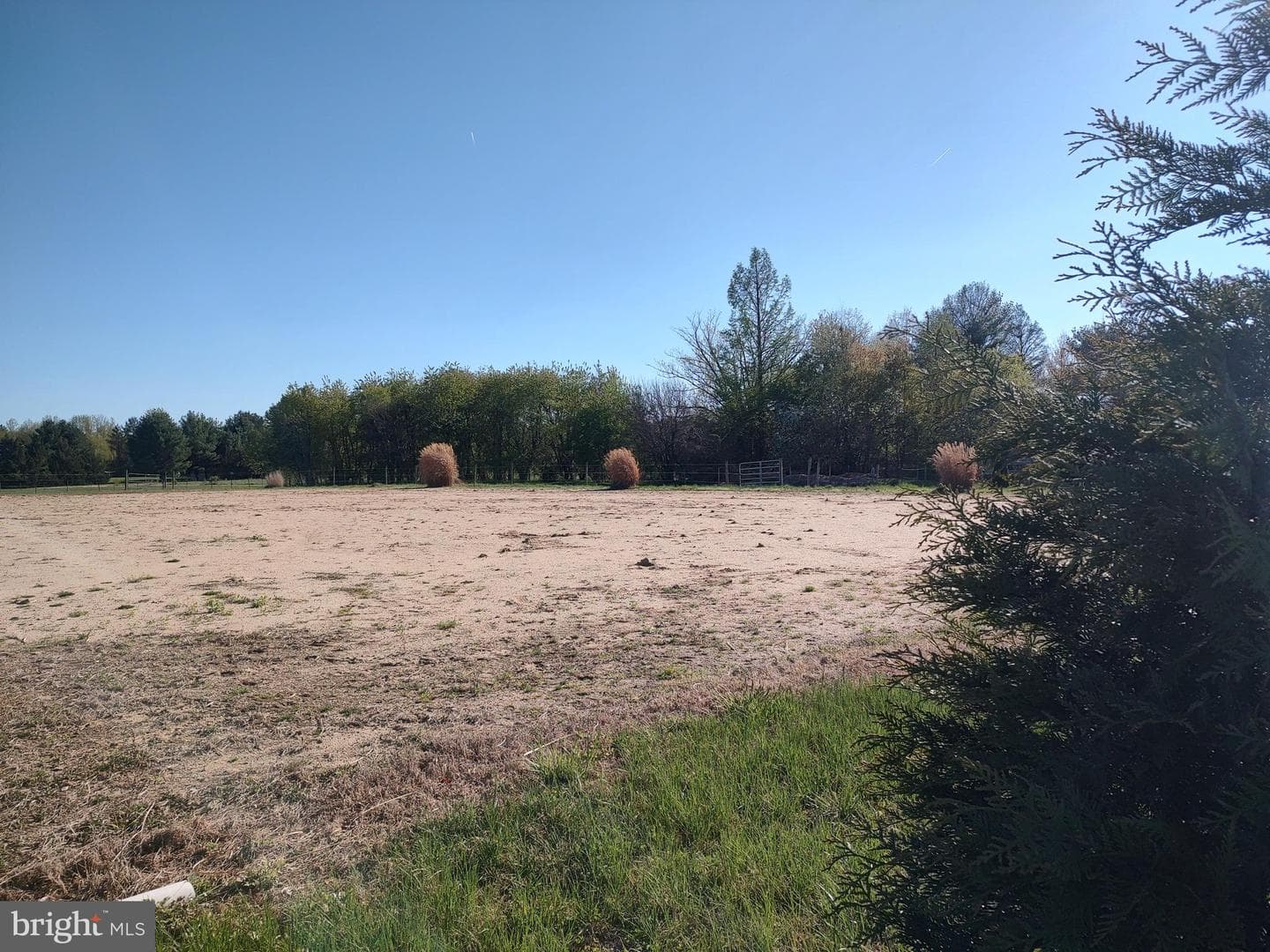 12397 Ridgely Road photo 32