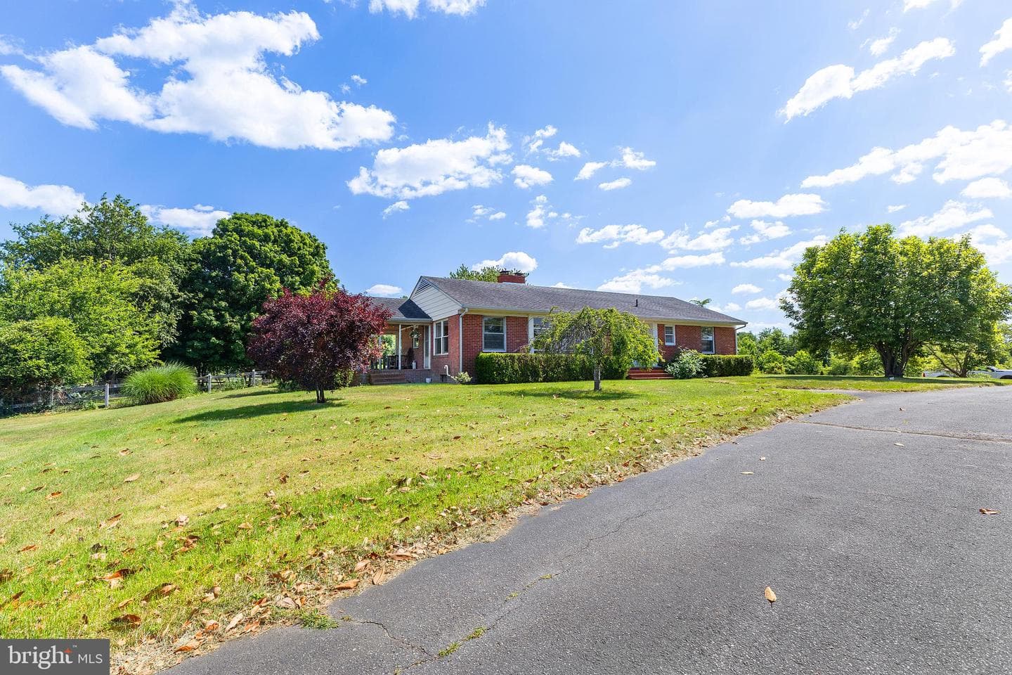 12397 Ridgely Road photo 42