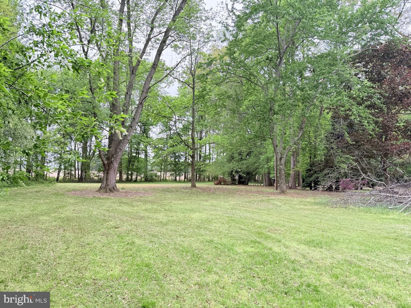 9532 Corkell Road photo 14