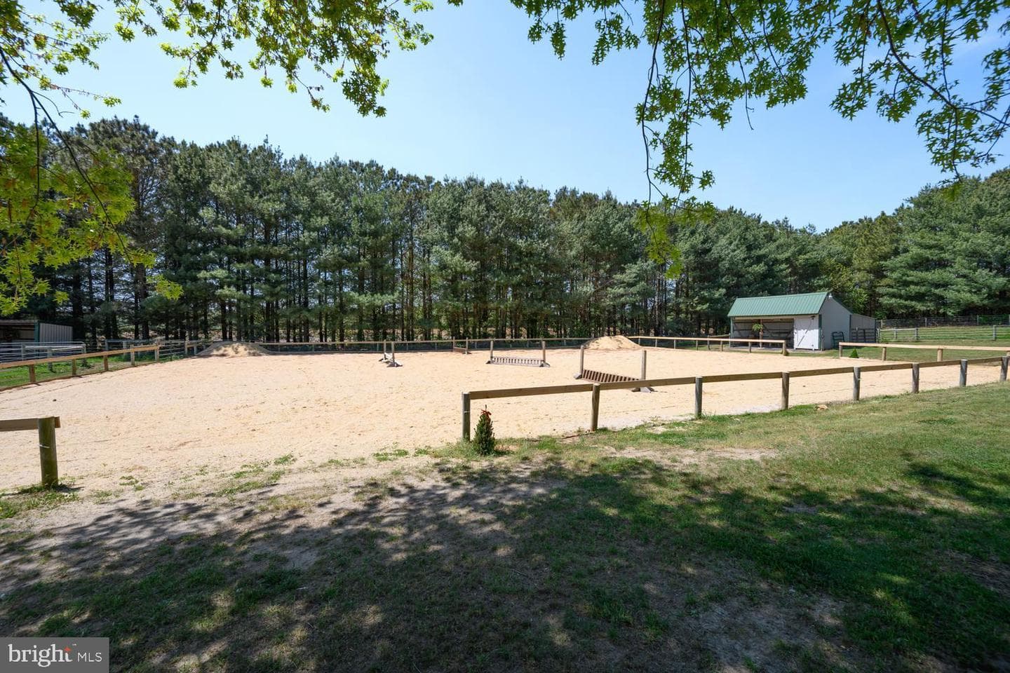 12104 Holly Road photo 39