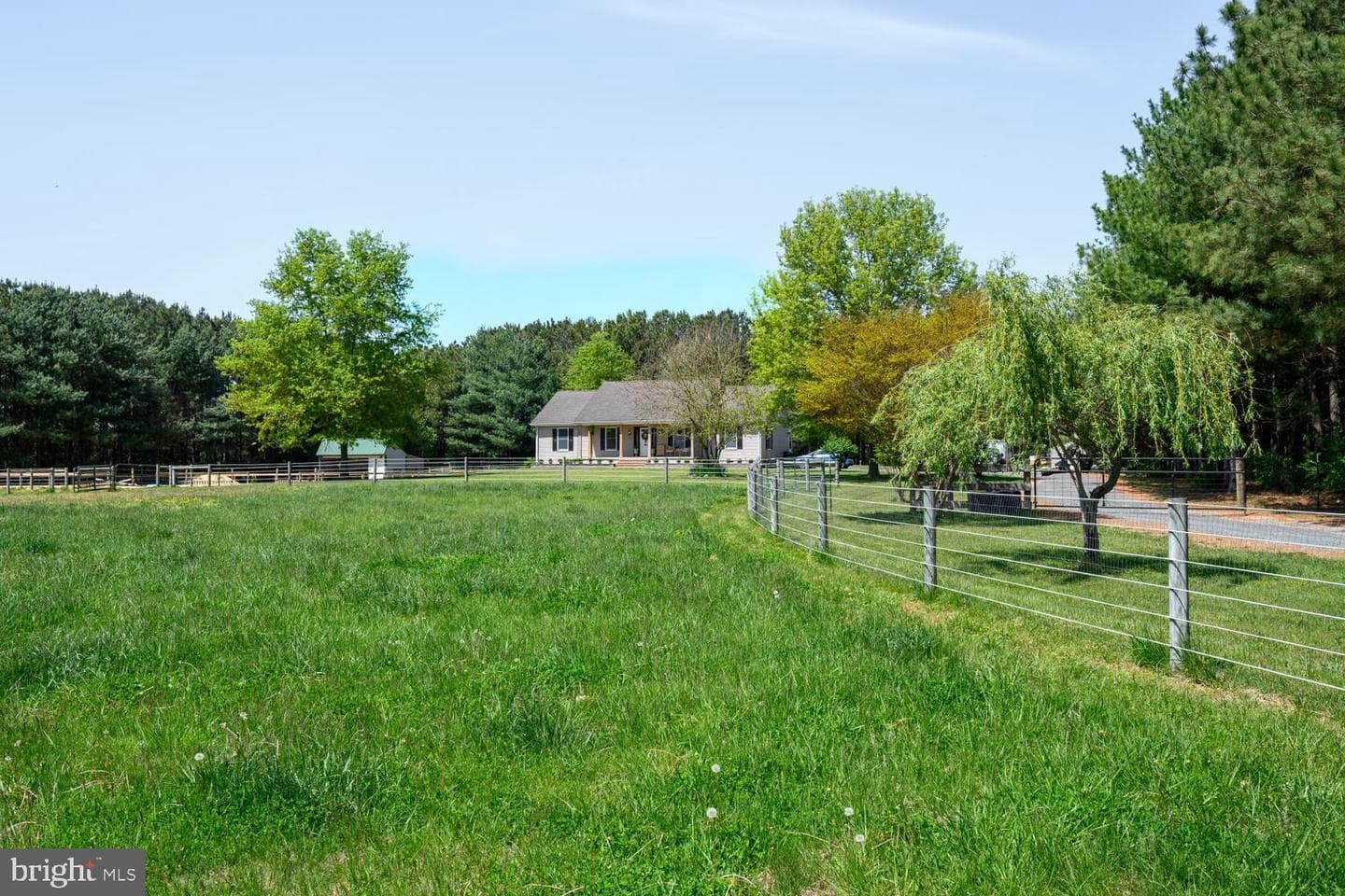 12104 Holly Road photo 41