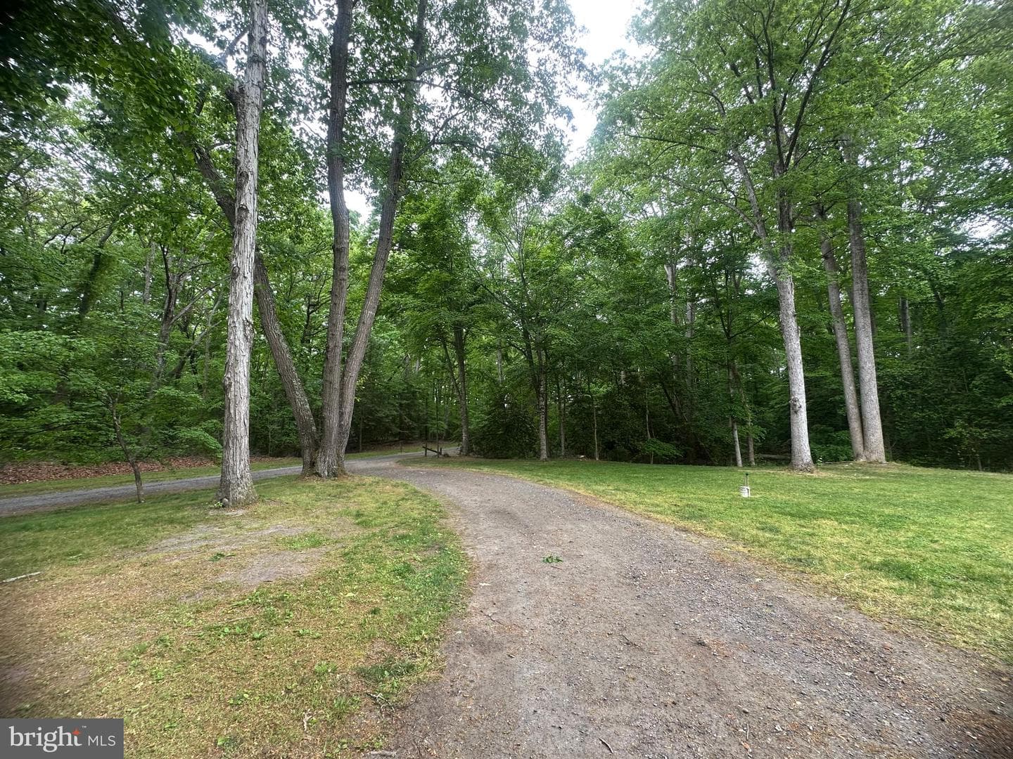 11231 River Road photo 31