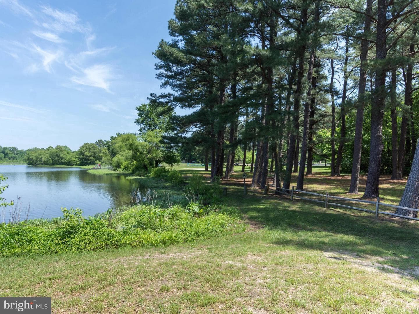 11231 River Road photo 41
