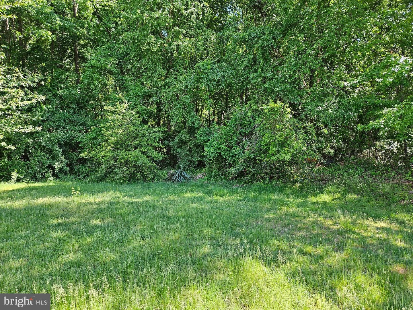 1308 Chesapeake Dr photo 20