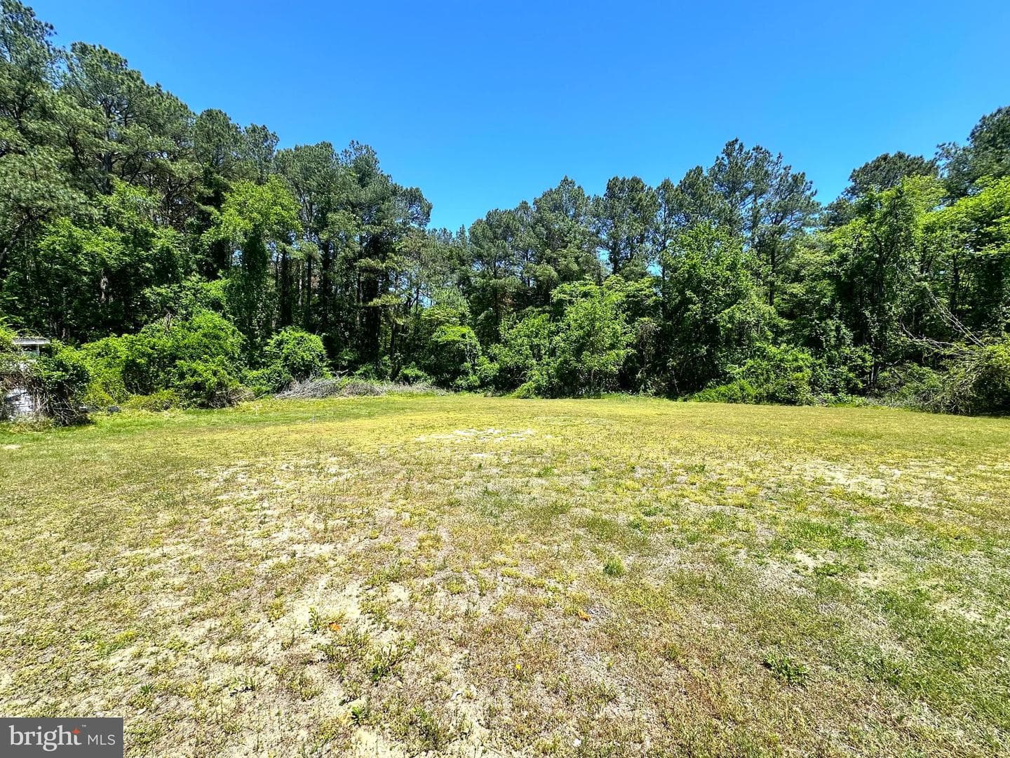 14236 Drapers Mill Road photo 25
