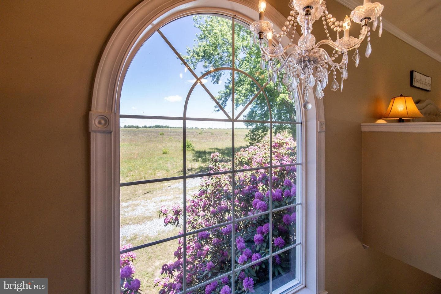 13099 Ridgely Road photo 25
