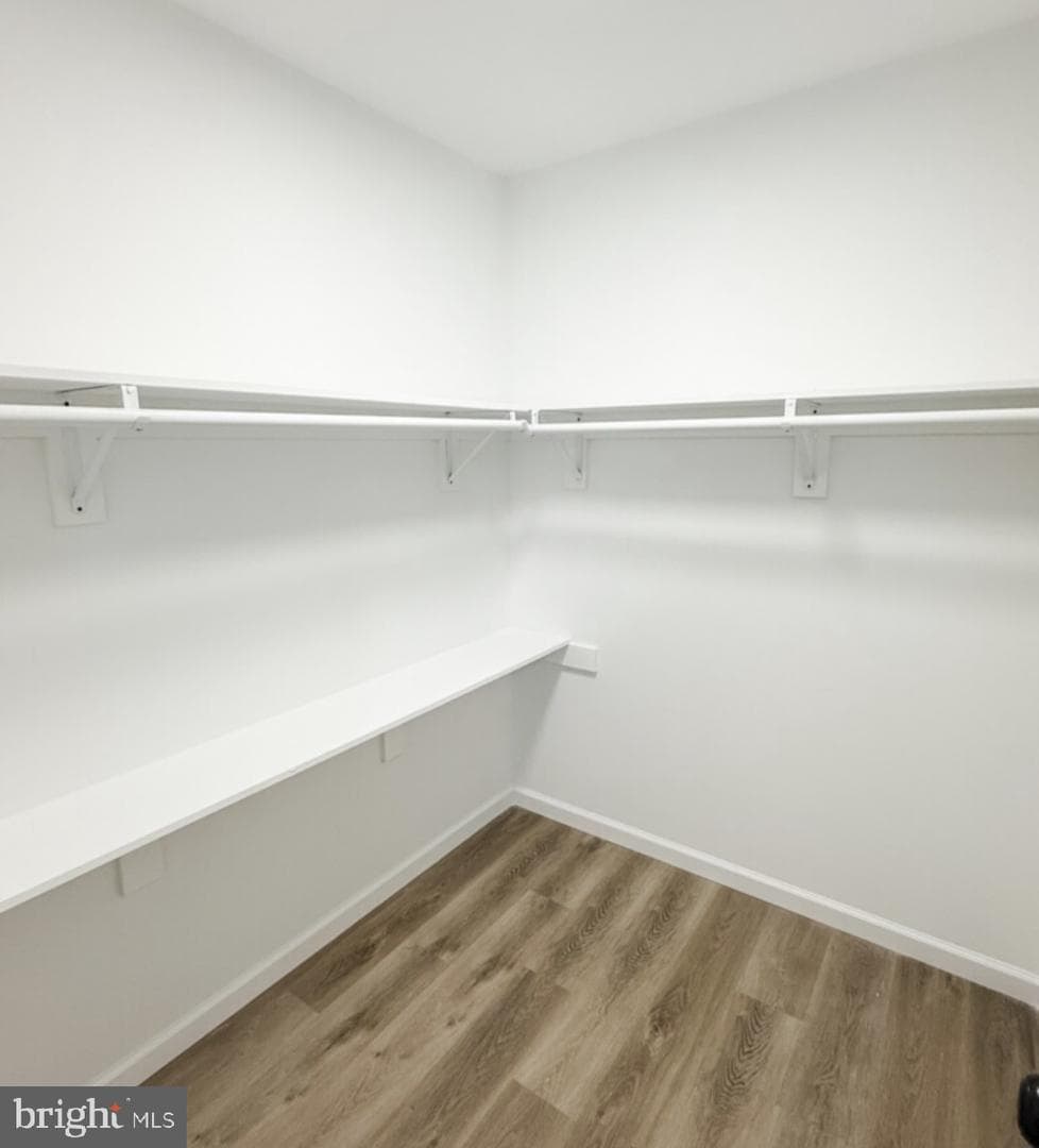 205 Park Avenue photo 8