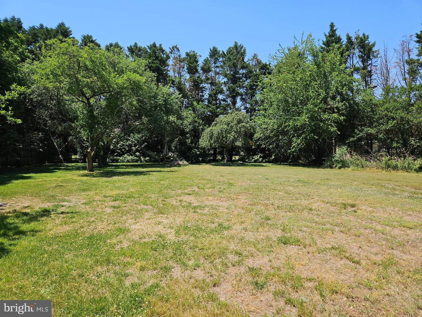 8140 Haven Street photo 24