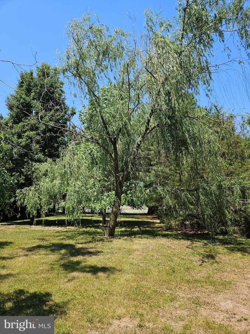 8140 Haven Street photo 27