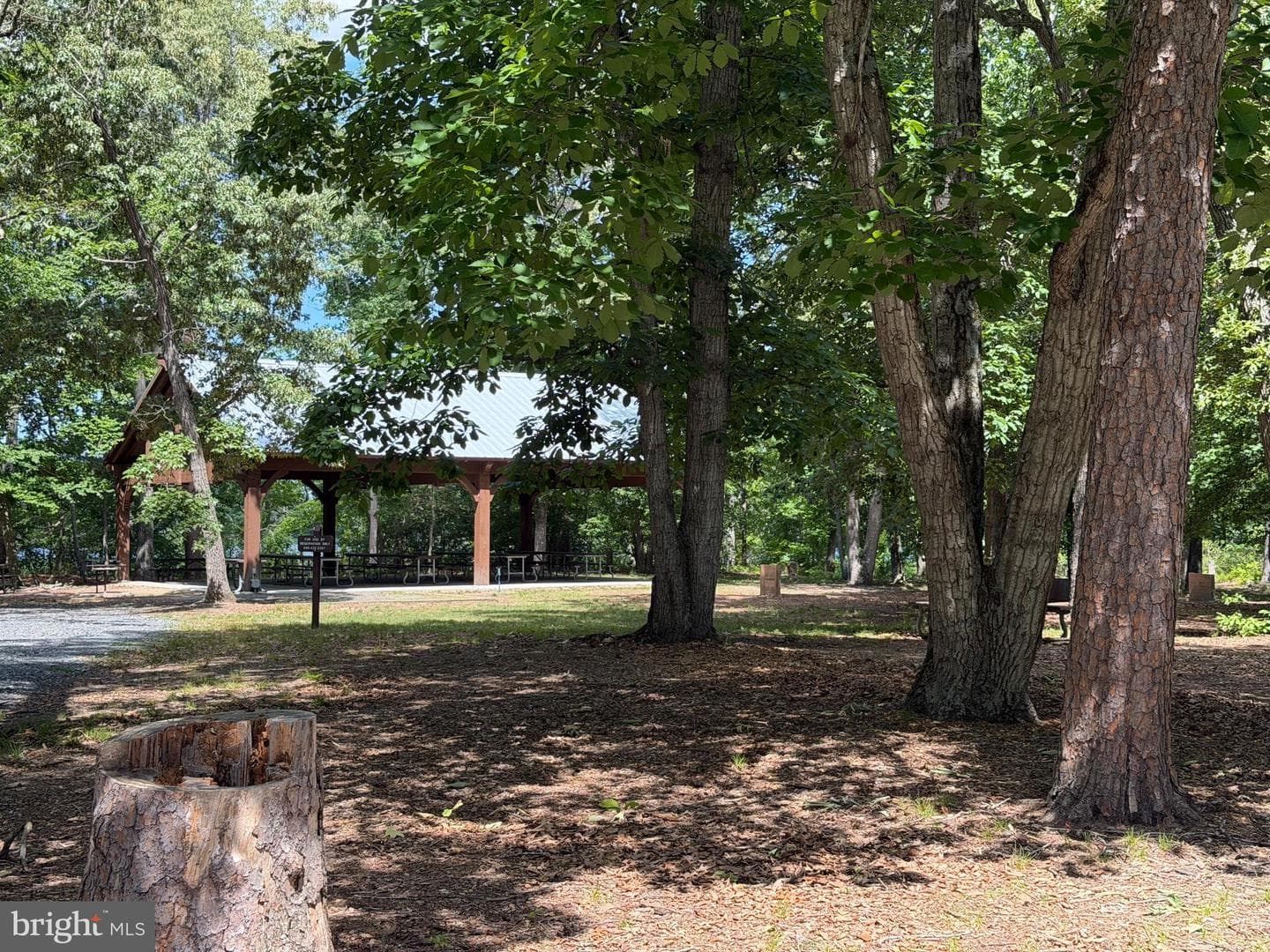 1302 Trice Meadows Cir photo 24