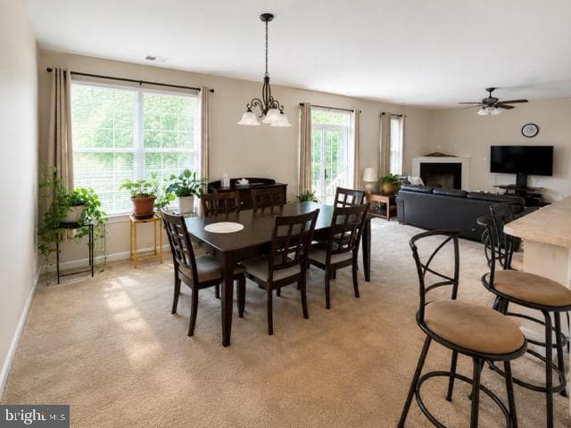 1302 Trice Meadows Cir photo 6