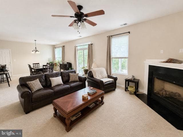 1302 Trice Meadows Cir photo 9