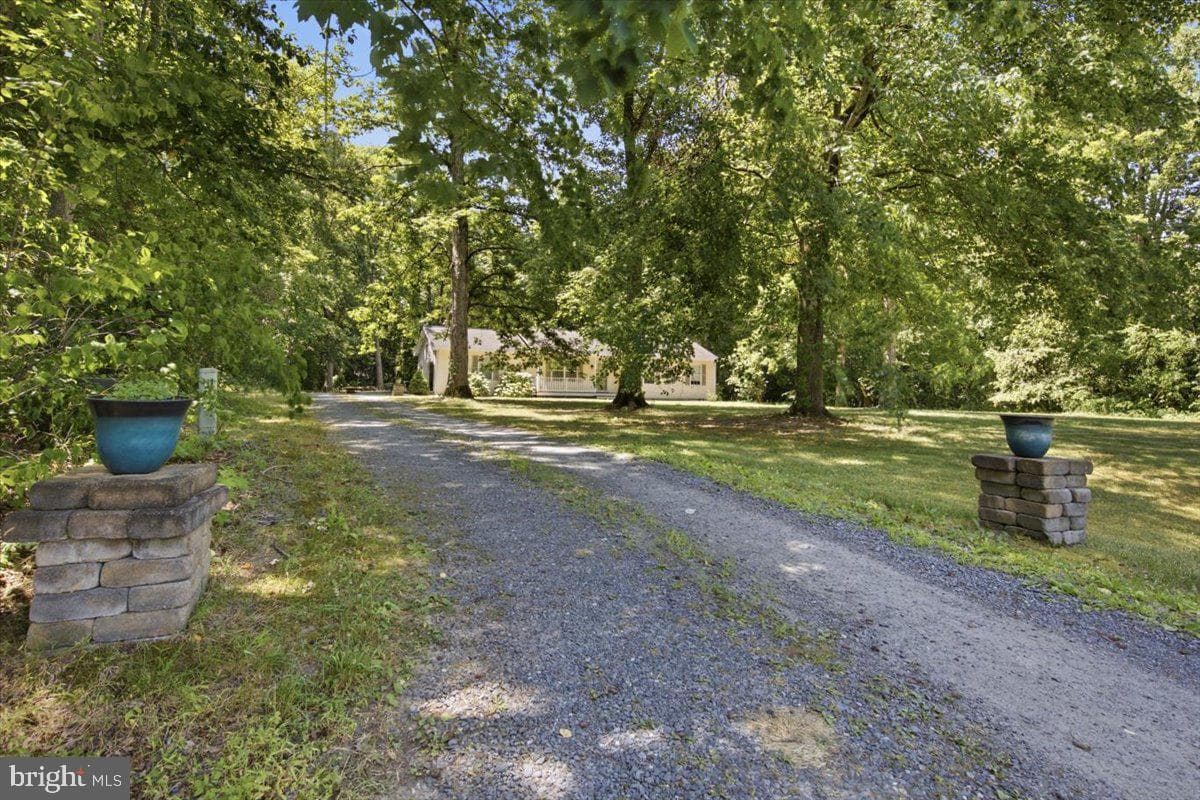 25389 Kent Street photo 16