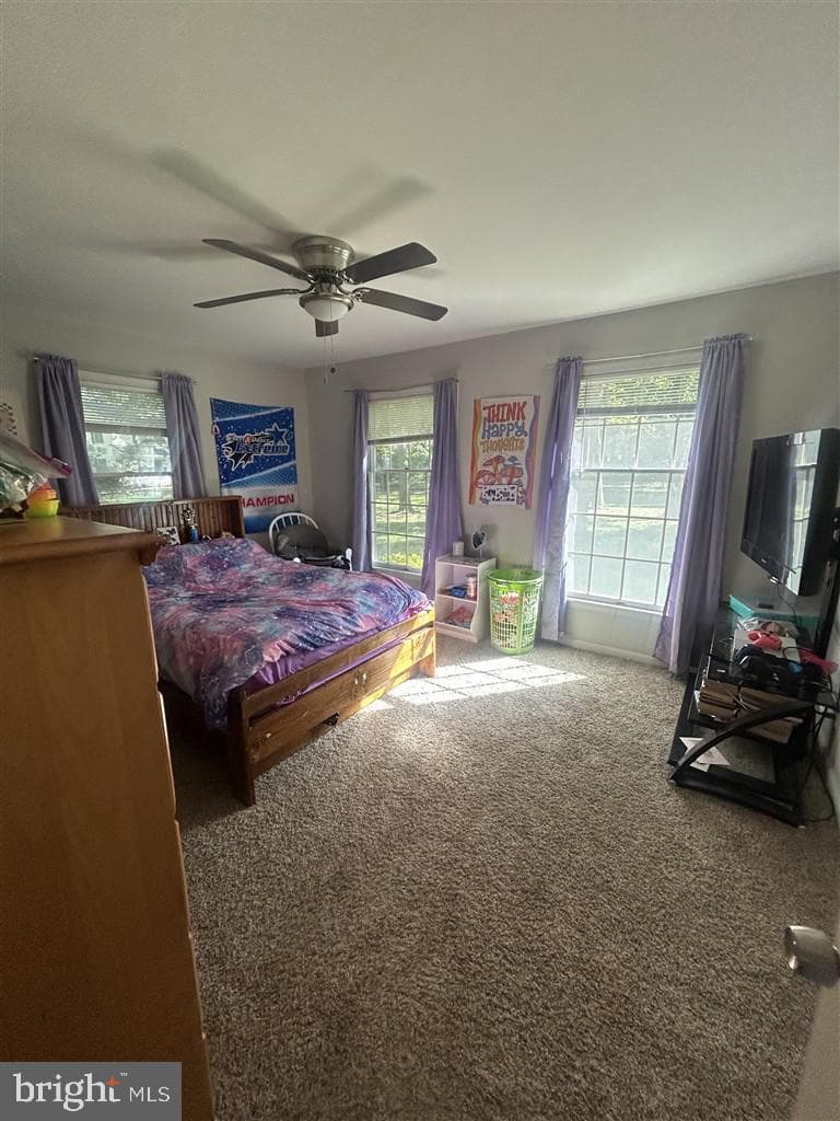 2691 Lorraine Avenue photo 18