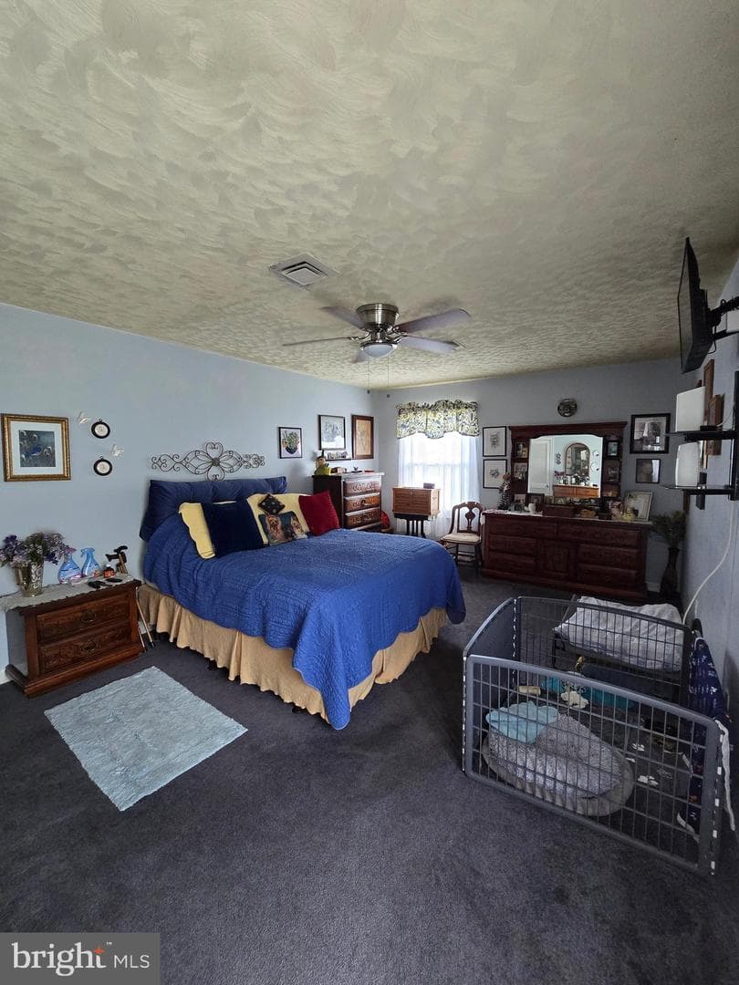 104 Charlotte Avenue photo 29