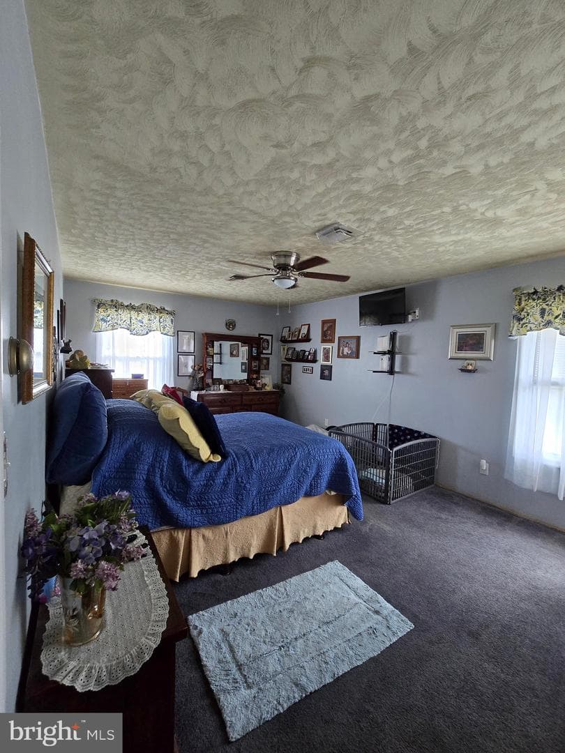 104 Charlotte Avenue photo 30