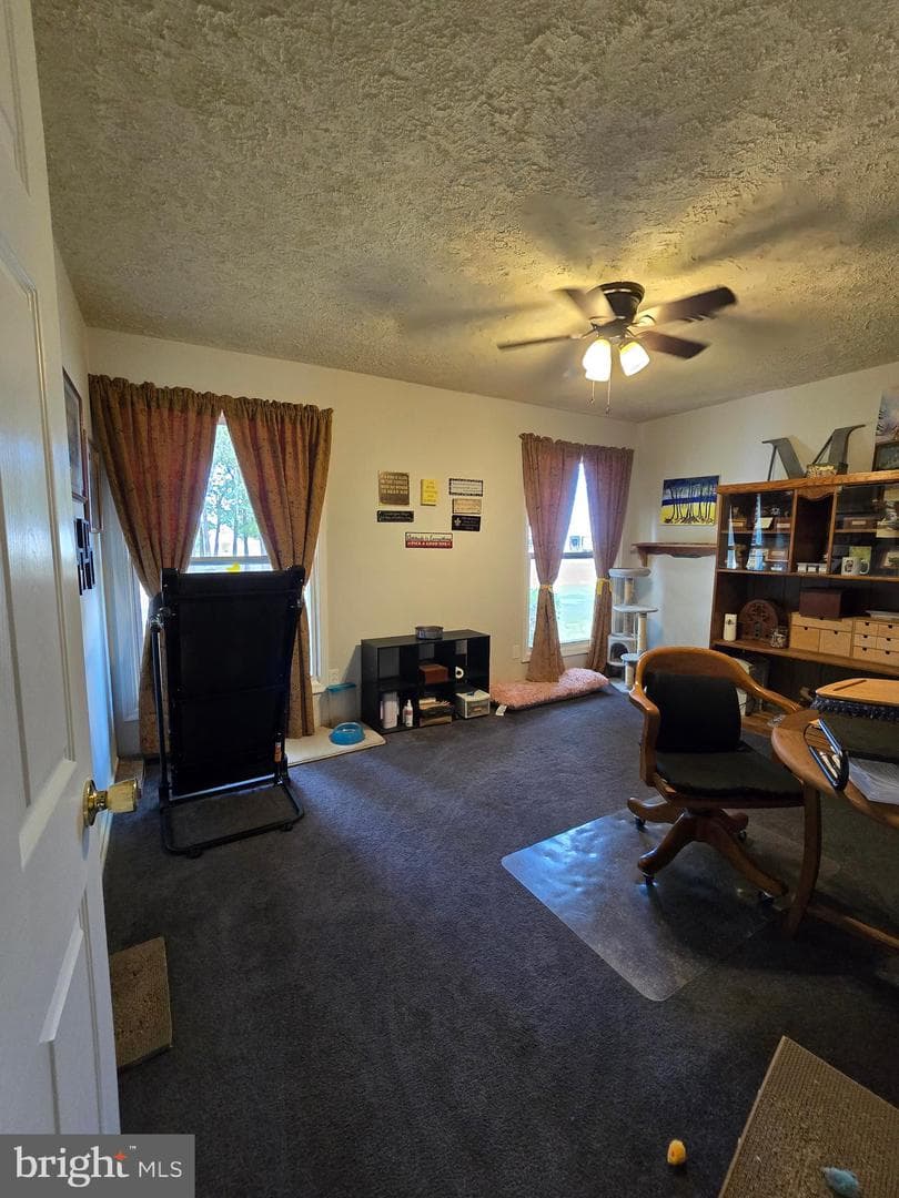 104 Charlotte Avenue photo 34