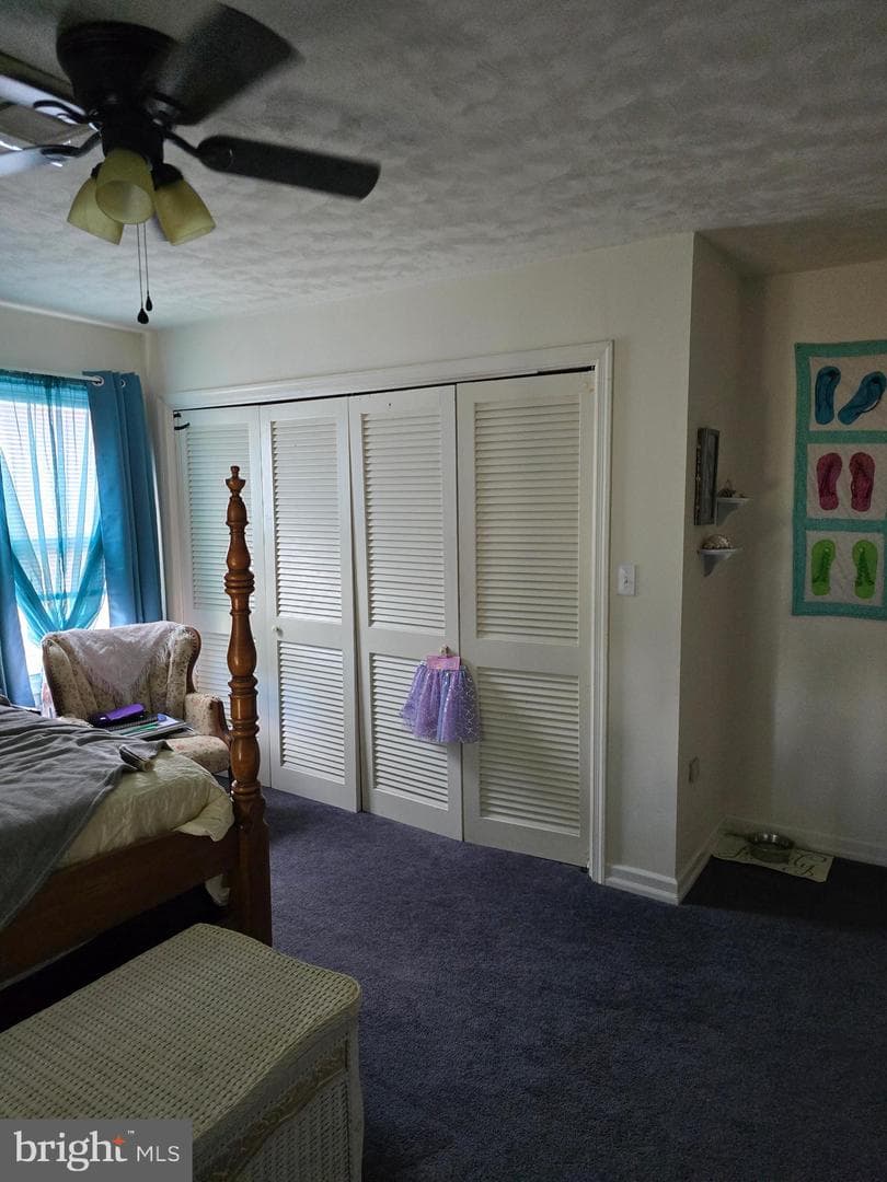 104 Charlotte Avenue photo 37