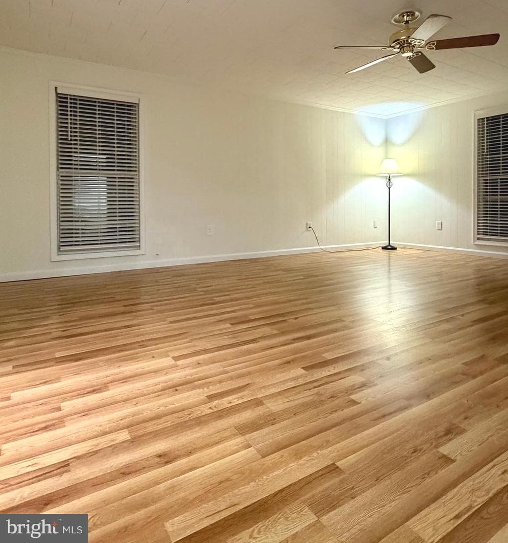 103 Williamson Street photo 22