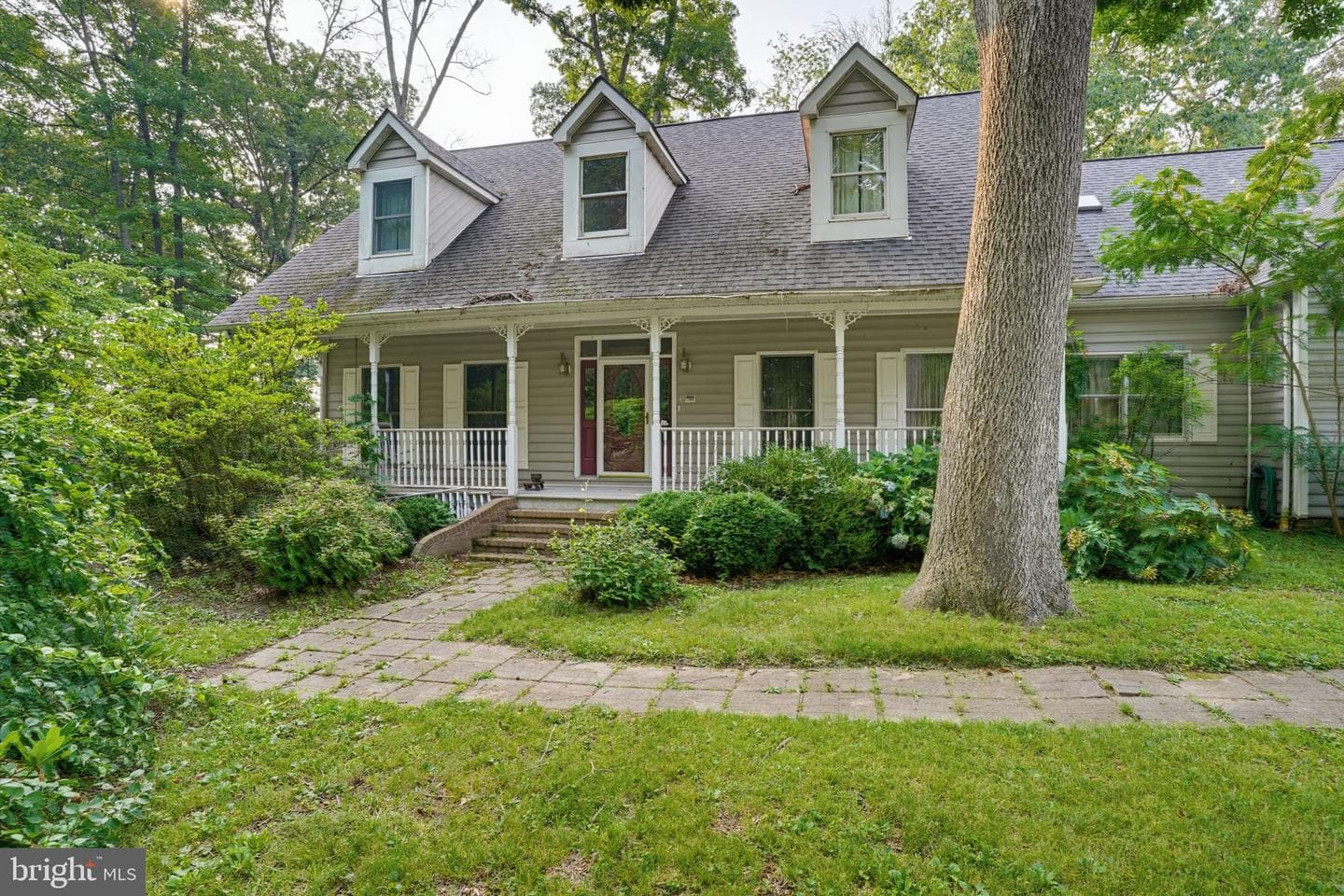 8821 Dorothy Lane photo 17