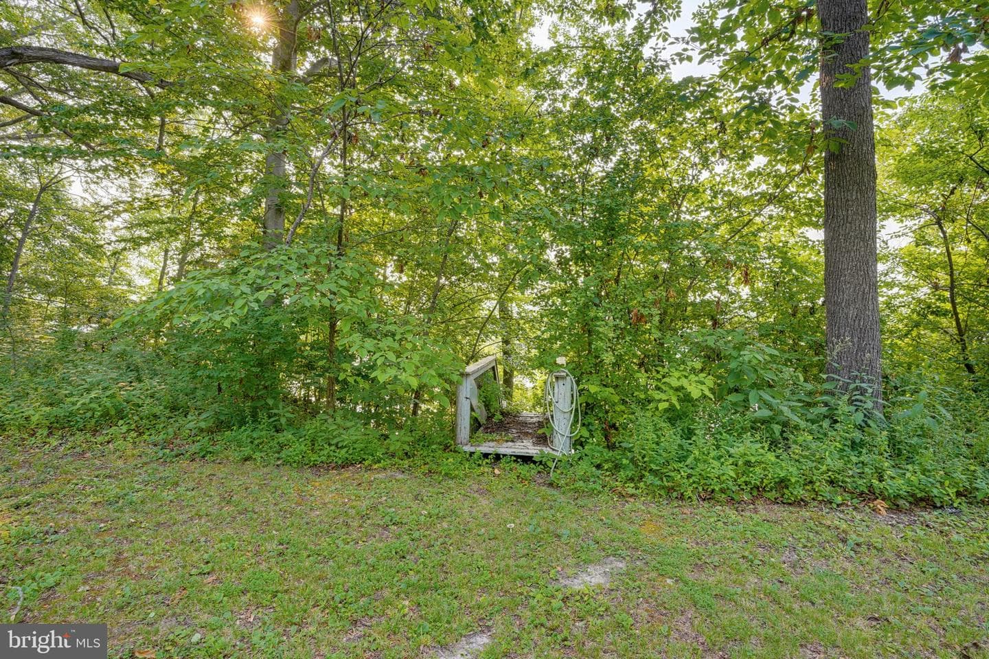 8821 Dorothy Lane photo 19