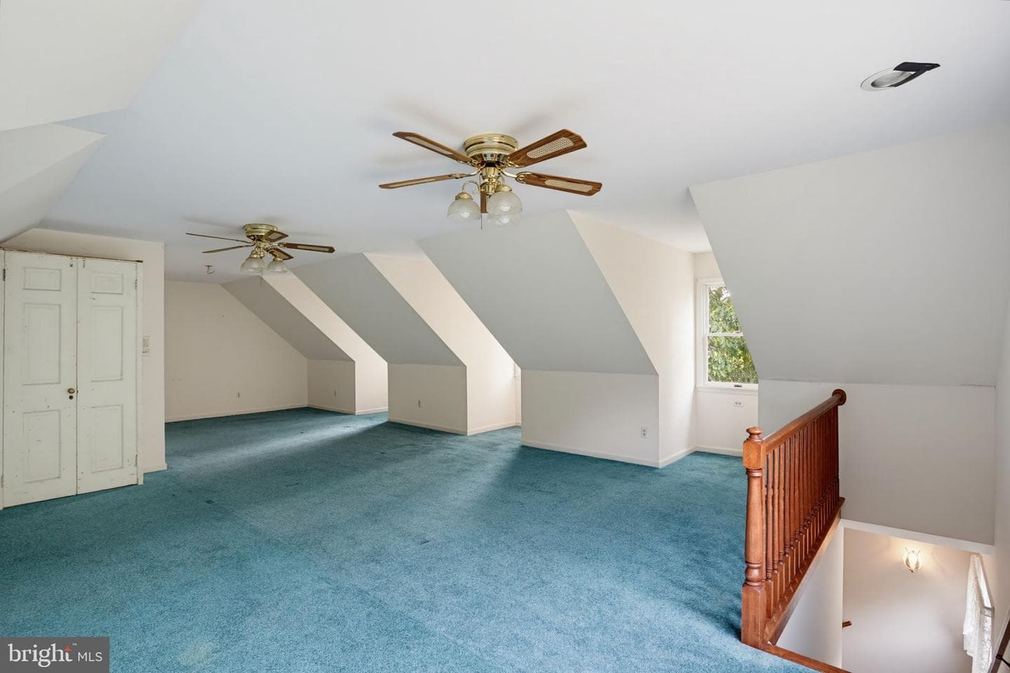 8821 Dorothy Lane photo 59